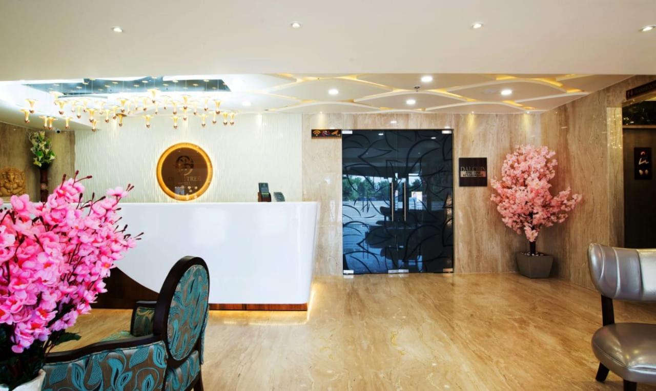 Olive Tree Hotel 비자야와다 외부 사진